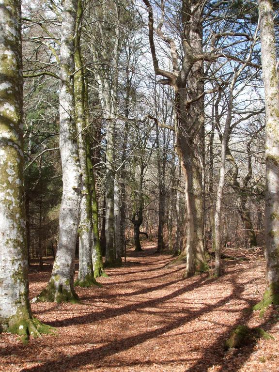 Craik Na Dav B&B Invermoriston Buitenkant foto